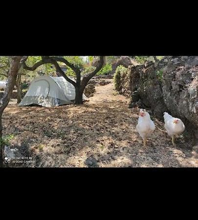 Montargano Tenda Etna Into The Wilde المظهر الخارجي الصورة